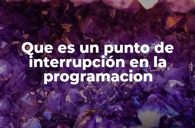 Que es un Punto de Interrupción en la Programacion