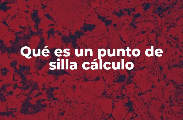 El papel de los puntos críticos en el análisis de funciones multivariables