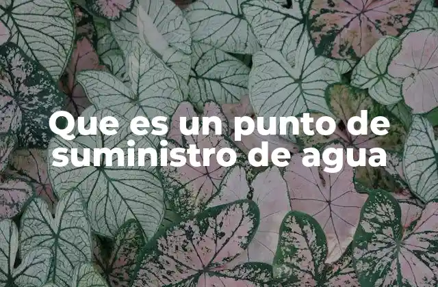 Que es un Punto de Suministro de Agua