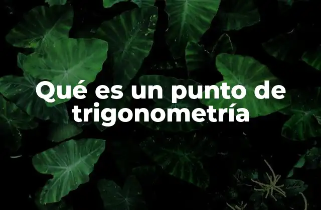 Qué es un Punto de Trigonometría