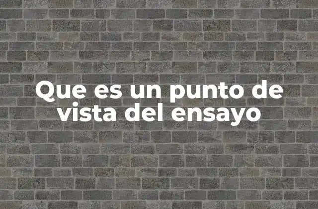 Que es un Punto de Vista Del Ensayo