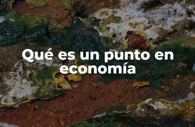 Qué es un Punto en Economía
