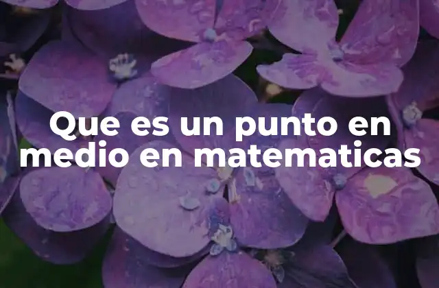Que es un Punto en Medio en Matematicas