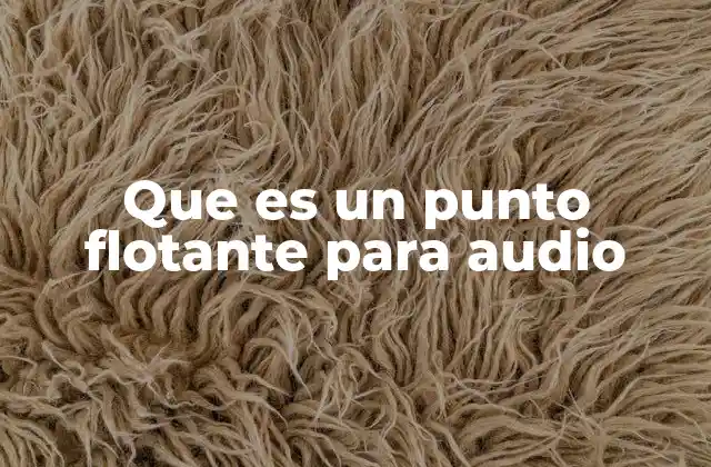 Que es un Punto Flotante para Audio
