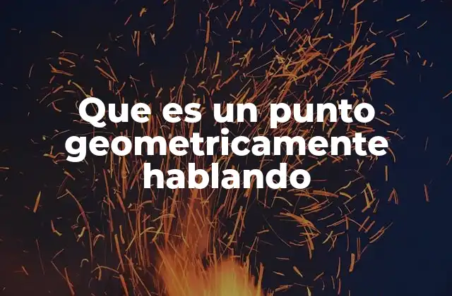 Que es un Punto Geometricamente Hablando