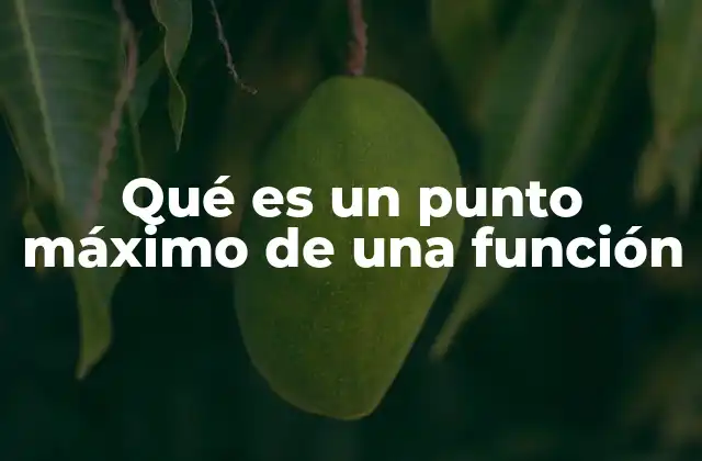 Qué es un Punto Máximo de una Función