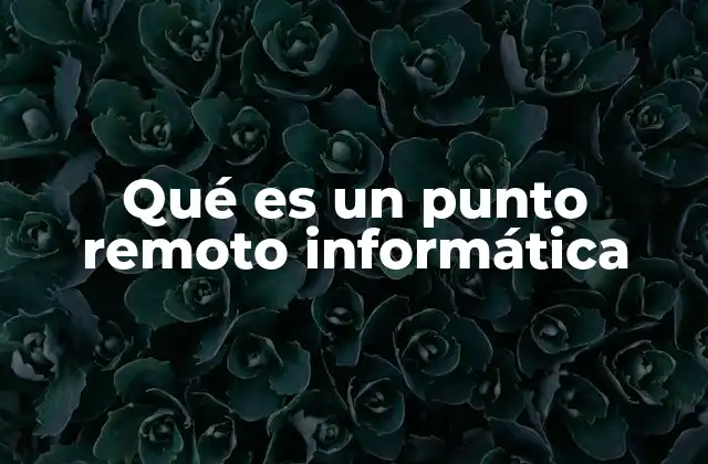 Qué es un Punto Remoto Informática