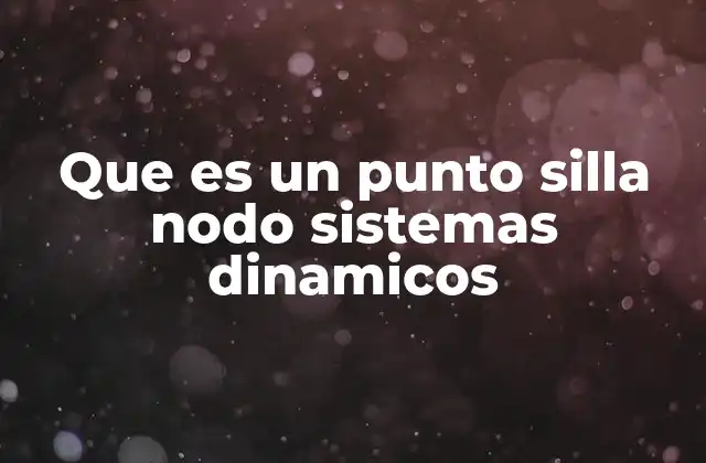 Que es un Punto Silla Nodo Sistemas Dinamicos