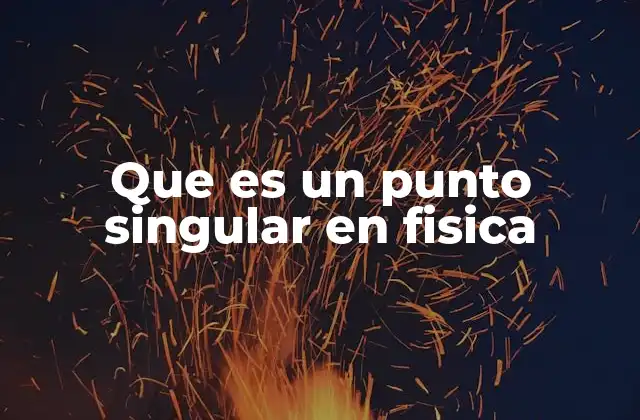 Que es un Punto Singular en Fisica