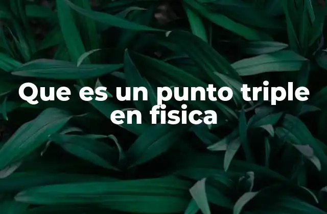Que es un Punto Triple en Fisica