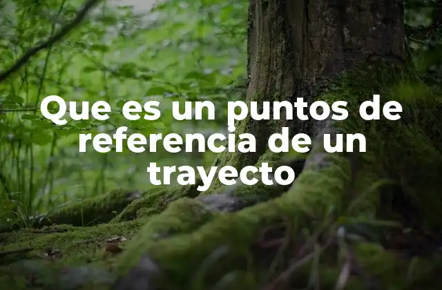 La importancia de los puntos de referencia en la toma de decisiones