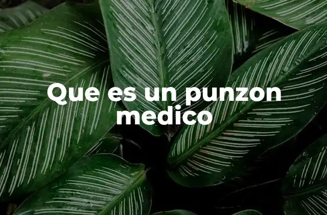 Que es un Punzon Medico