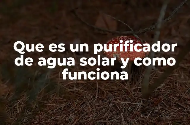 Que es un Purificador de Agua Solar y como Funciona