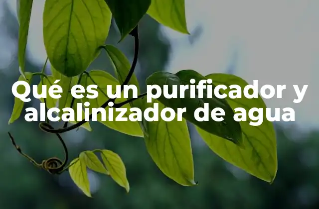 Qué es un Purificador y Alcalinizador de Agua