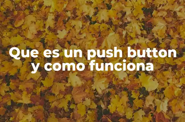 Que es un Push Button y como Funciona