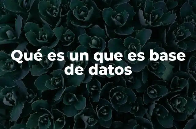 Qué es un que es Base de Datos
