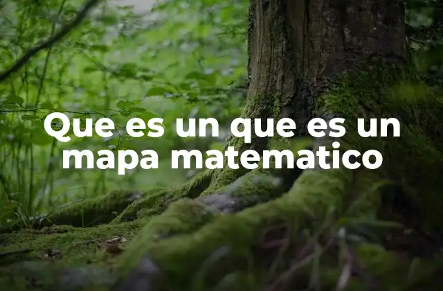 Que es un que es un Mapa Matematico