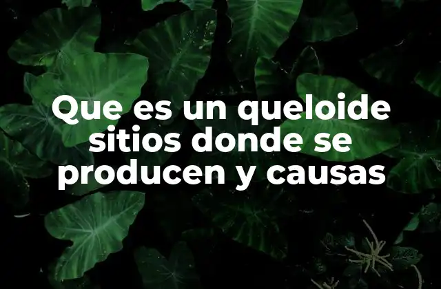 Cómo se forman y qué factores influyen en su desarrollo