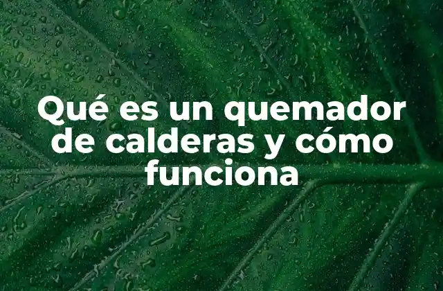 Qué es un Quemador de Calderas y Cómo Funciona