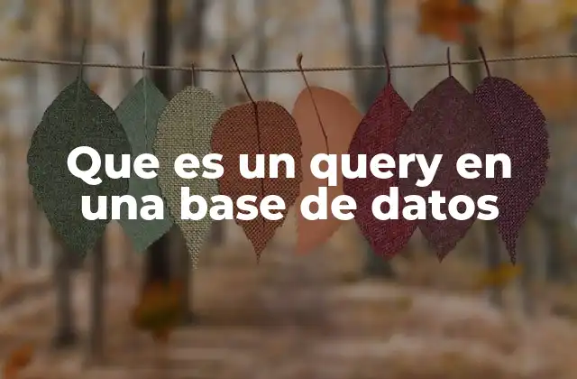 Que es un Query en una Base de Datos