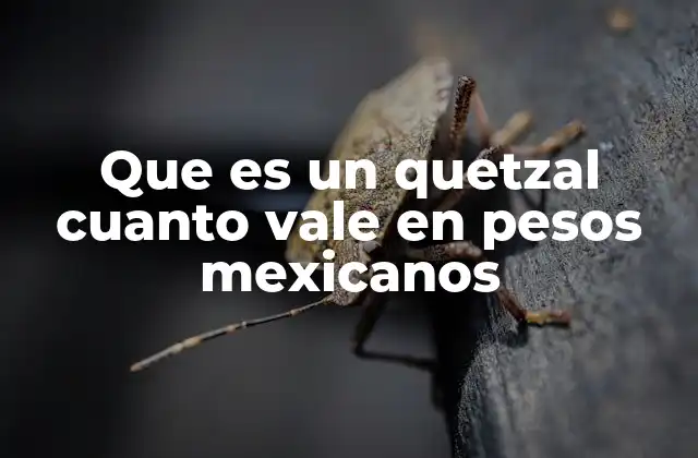 Que es un Quetzal Cuanto Vale en Pesos Mexicanos