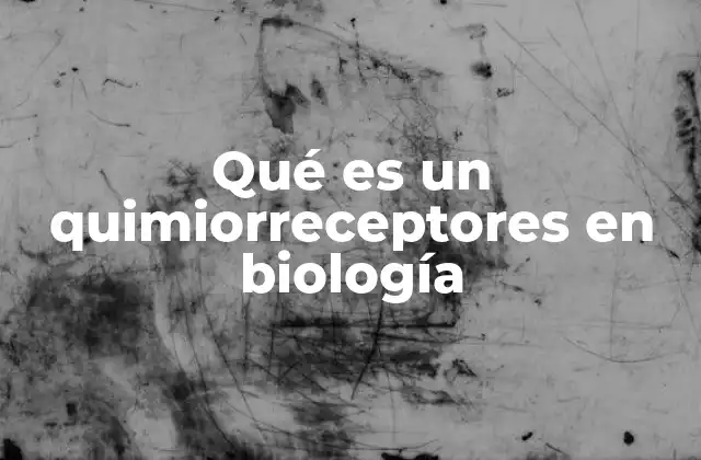 Qué es un Quimiorreceptores en Biología