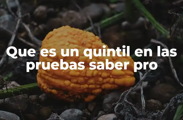 Que es un Quintil en las Pruebas Saber Pro