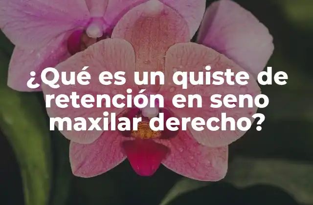 ¿qué es un Quiste de Retención en Seno Maxilar Derecho?