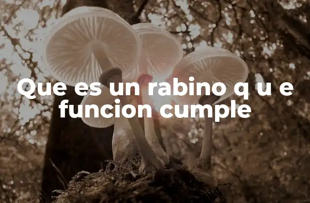 Que es un Rabino Q u e Funcion Cumple