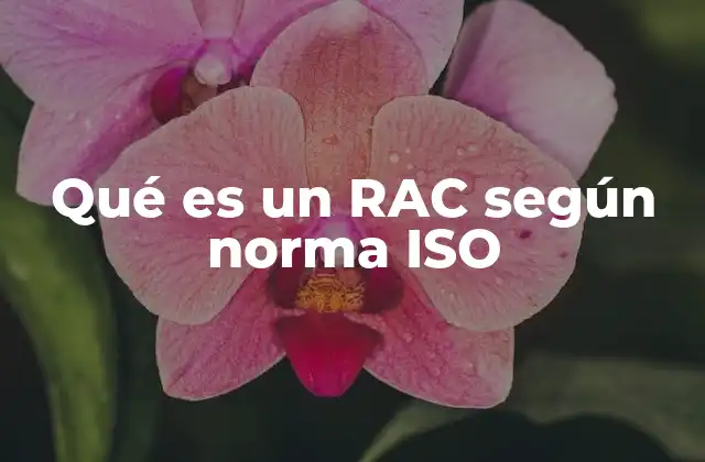 Qué es un Rac según Norma Iso