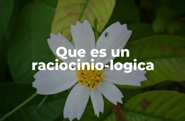 Que es un Raciocinio-logica