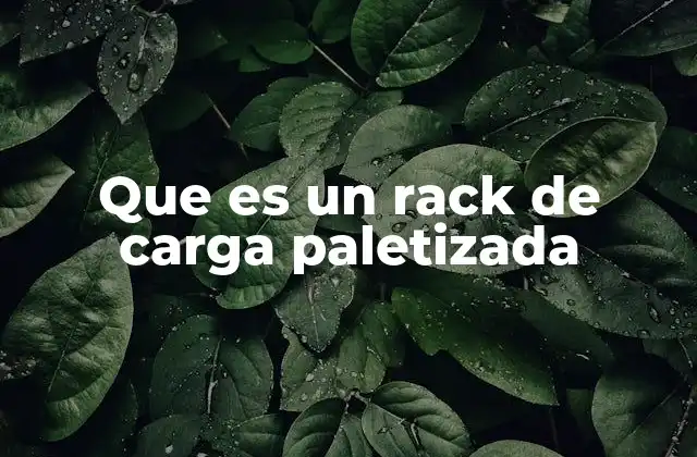 Que es un Rack de Carga Paletizada