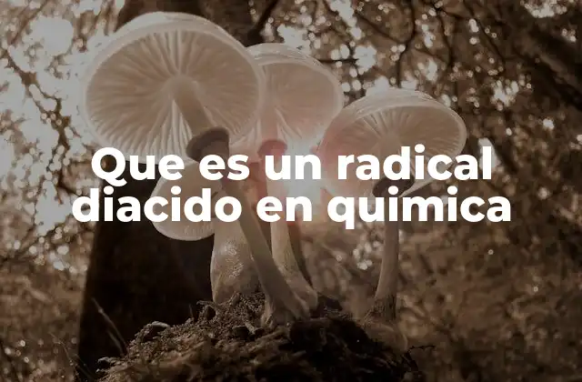 Que es un Radical Diacido en Quimica