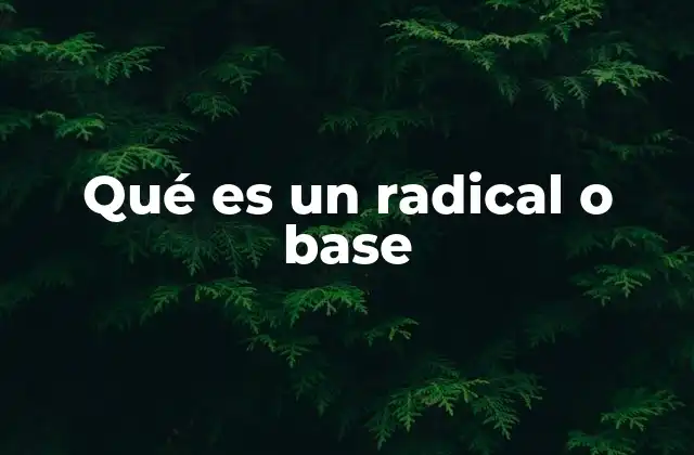 Qué es un Radical o Base