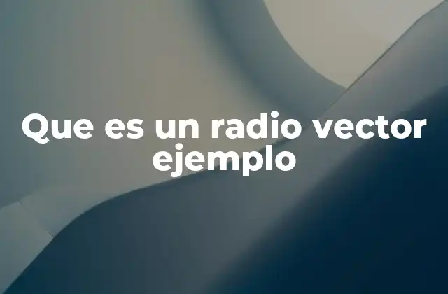 Que es un Radio Vector Ejemplo