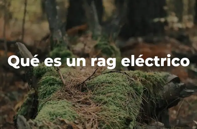 Qué es un Rag Eléctrico