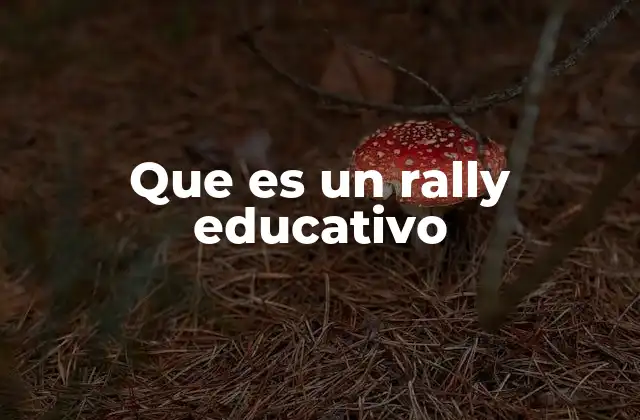 Que es un Rally Educativo