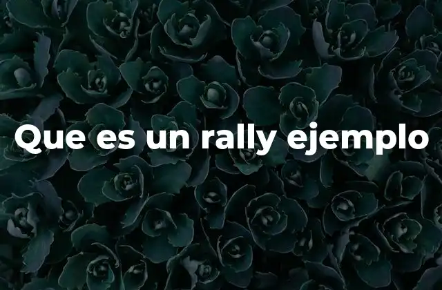 Características principales de una competencia de rally