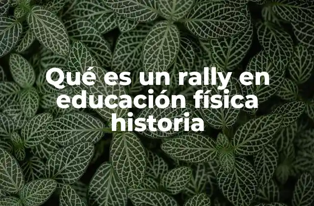 Qué es un Rally en Educación Física Historia