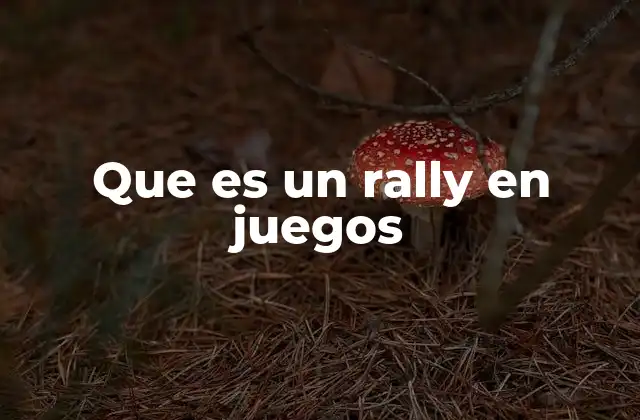 Que es un Rally en Juegos