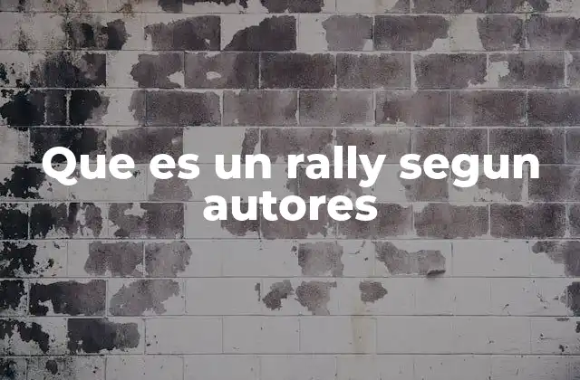 Que es un Rally Segun Autores