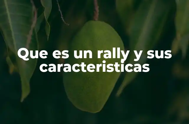 Que es un Rally y Sus Caracteristicas