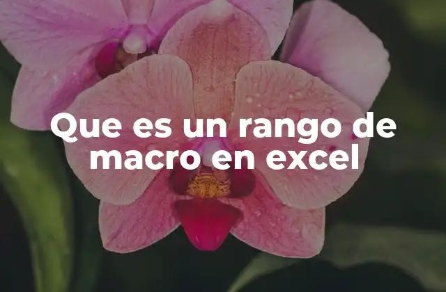 Que es un Rango de Macro en Excel