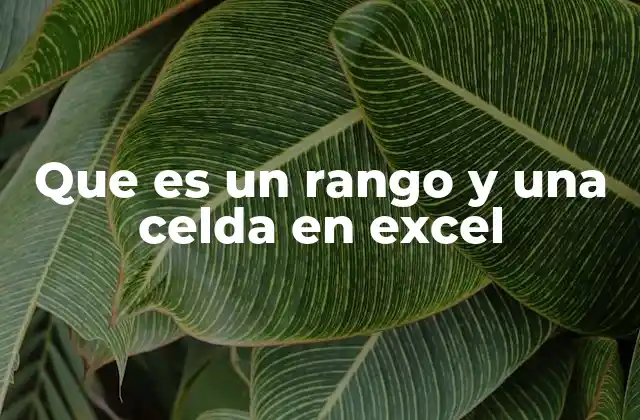 Que es un Rango y una Celda en Excel