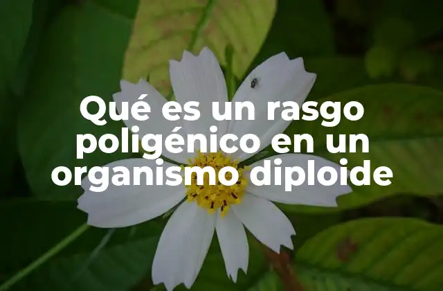 Qué es un Rasgo Poligénico en un Organismo Diploide