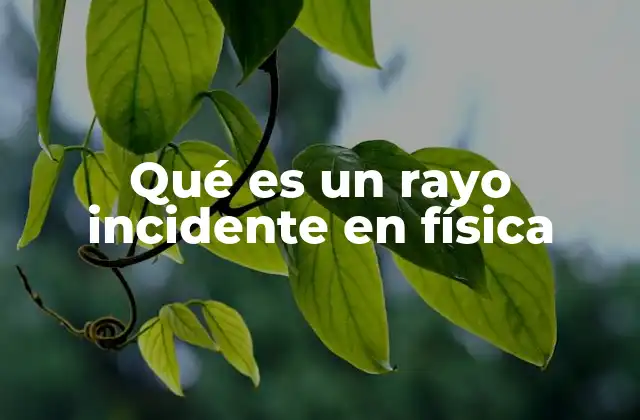 Qué es un Rayo Incidente en Física