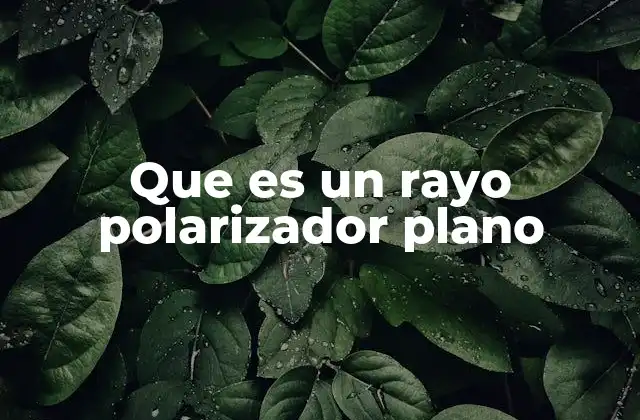 Que es un Rayo Polarizador Plano