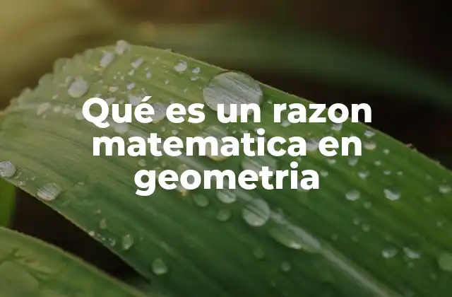 Qué es un Razon Matematica en Geometria