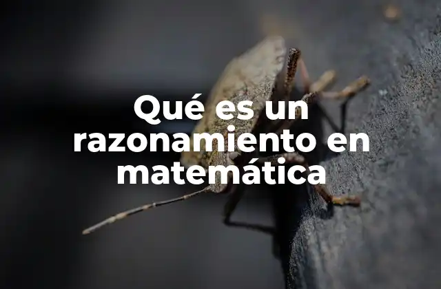 Qué es un Razonamiento en Matemática