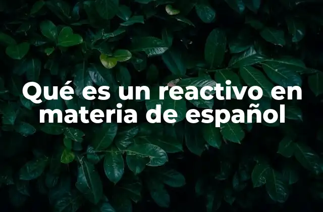 Qué es un Reactivo en Materia de Español